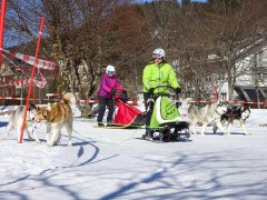 Wintersport-im-Ort-Todtmoos_2018_-23.jpg